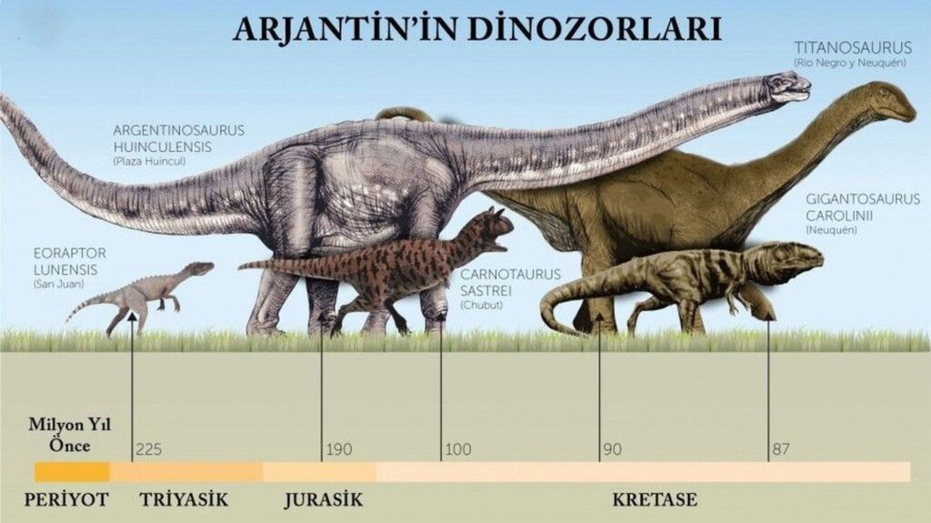 En Büyük Dinozorun Boyu: Bu Uzunluğun Bilimsel Nedeni [2026] - Kapak Görseli