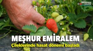 Emiralem’de Ne Meşhur? Öne Çıkan Lezzetler ve Yerel İpuçları - Kapak Görseli