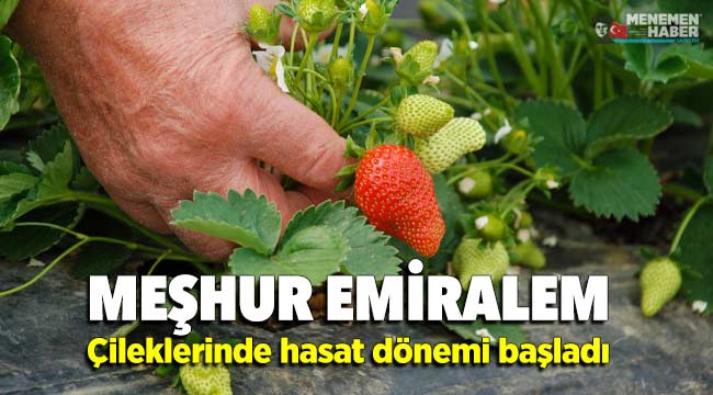 Emiralem’de Ne Meşhur? Öne Çıkan Lezzetler ve Yerel İpuçları - Kapak Görseli
