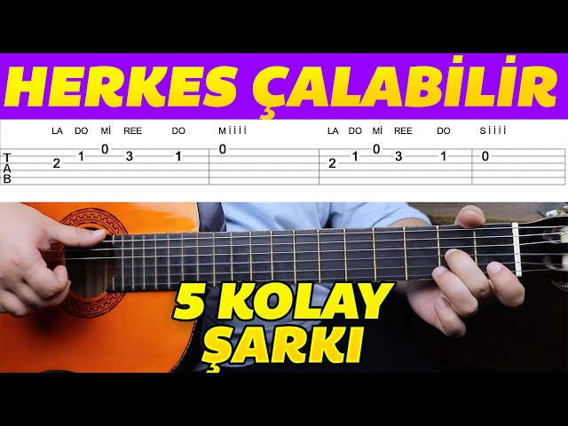 Gitar İçin En Doğru Ağaç Seçimi: Elma Ağacı Mantıklı mı? - Kapak Görseli